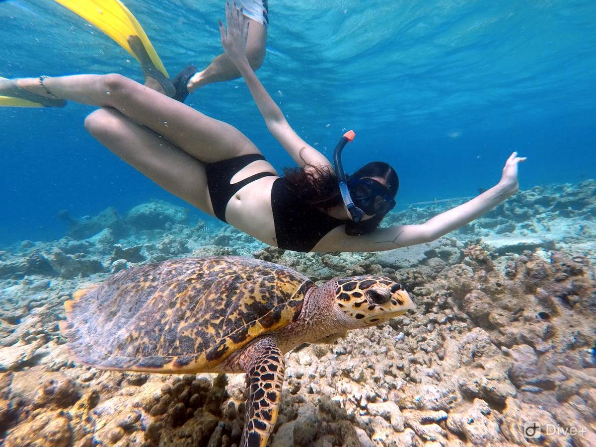 Mala Boutique Dhangethi Exteriör bild